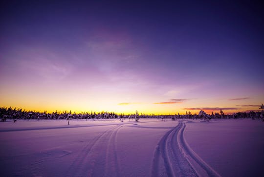 Excursión de un día en moto de nieve de Rovaniemi