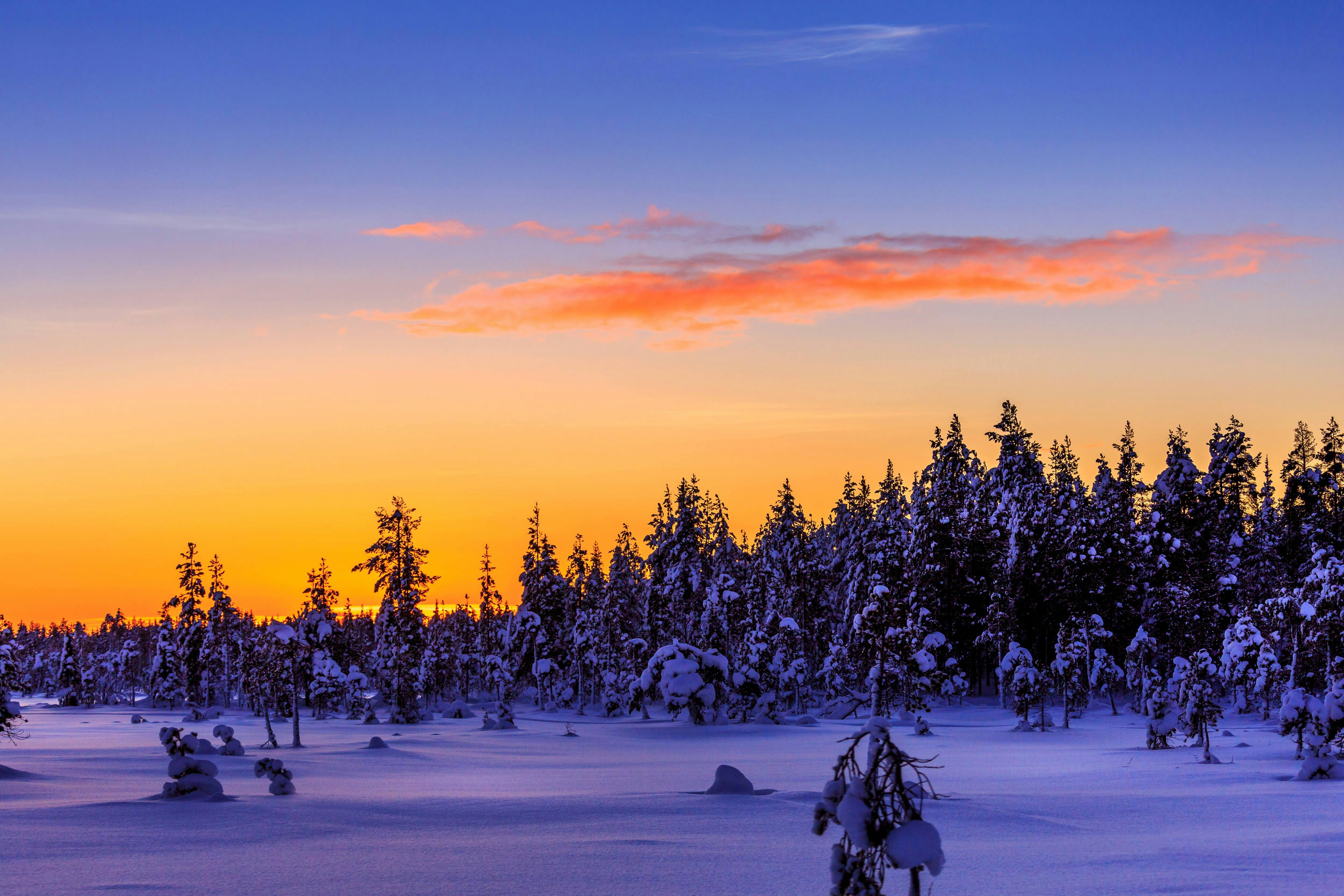 Saariselka Snowmobile Day Tour