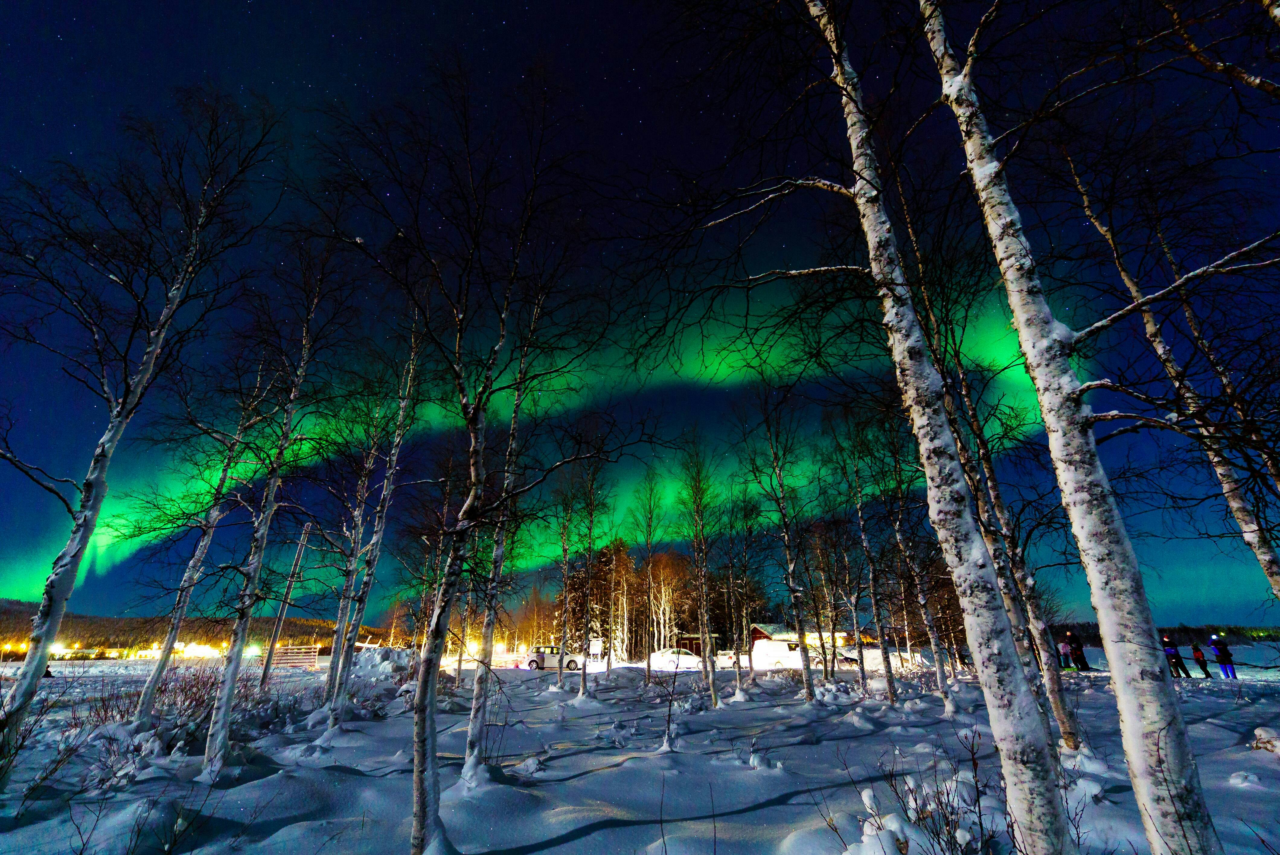 Northern Lights Snowmobile Tour