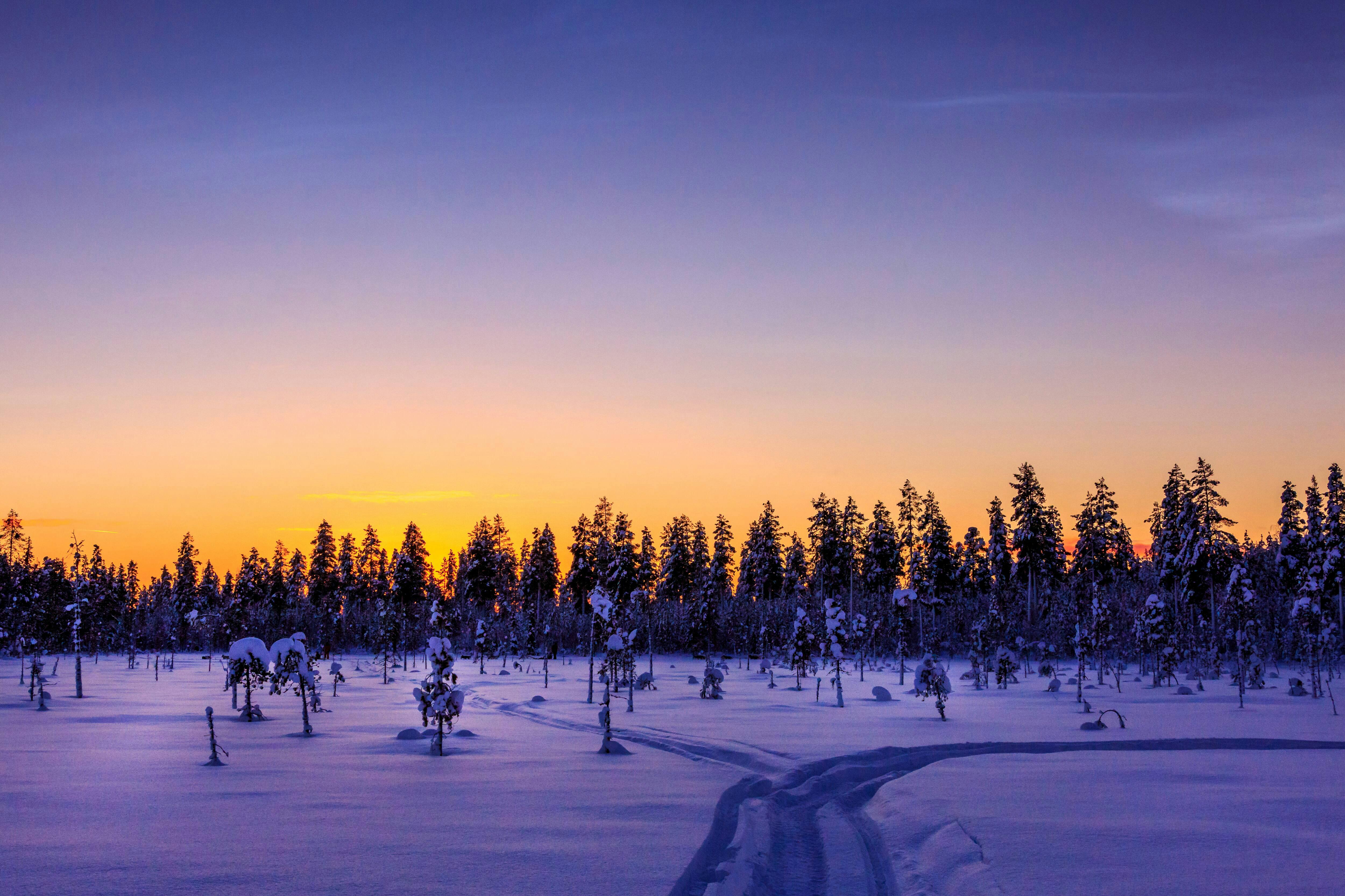 Saariselka Snowmobile Day Tour