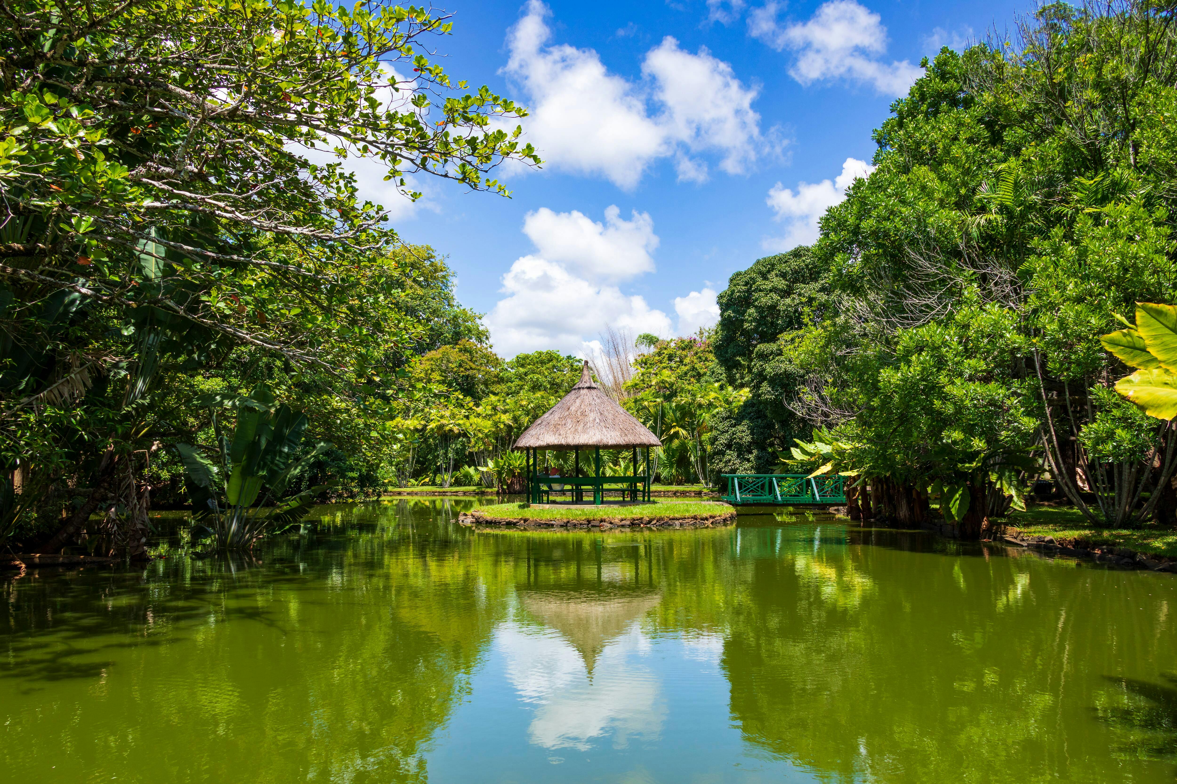 Mauritius North Island Tour