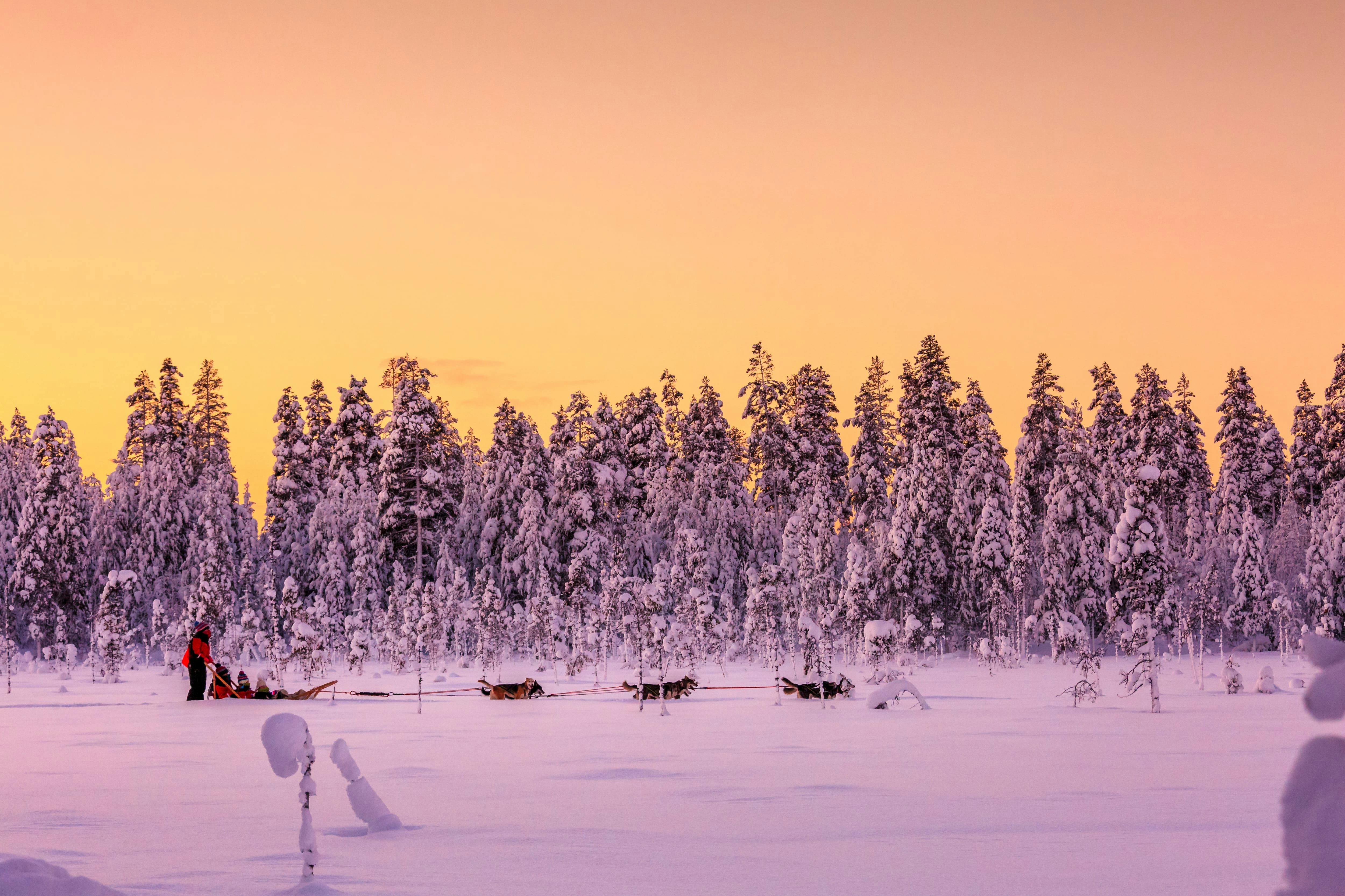 Sirkka Husky Sleigh Tour