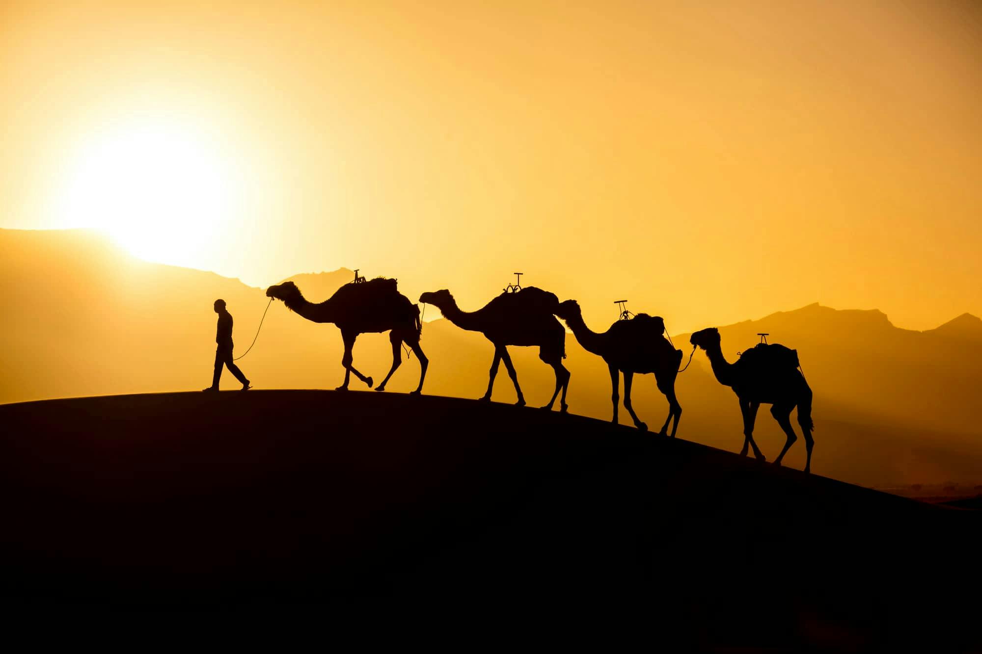 Experiencia de caminata en camello y barbacoa