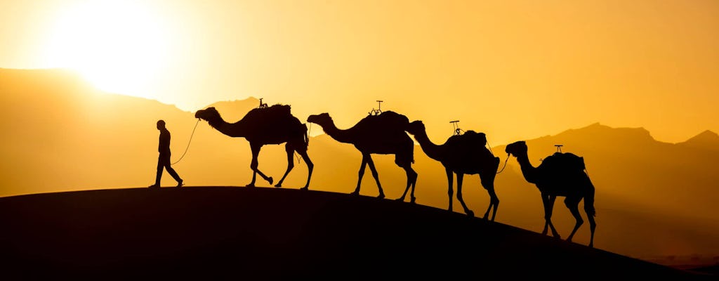 Experiencia de caminata en camello y barbacoa