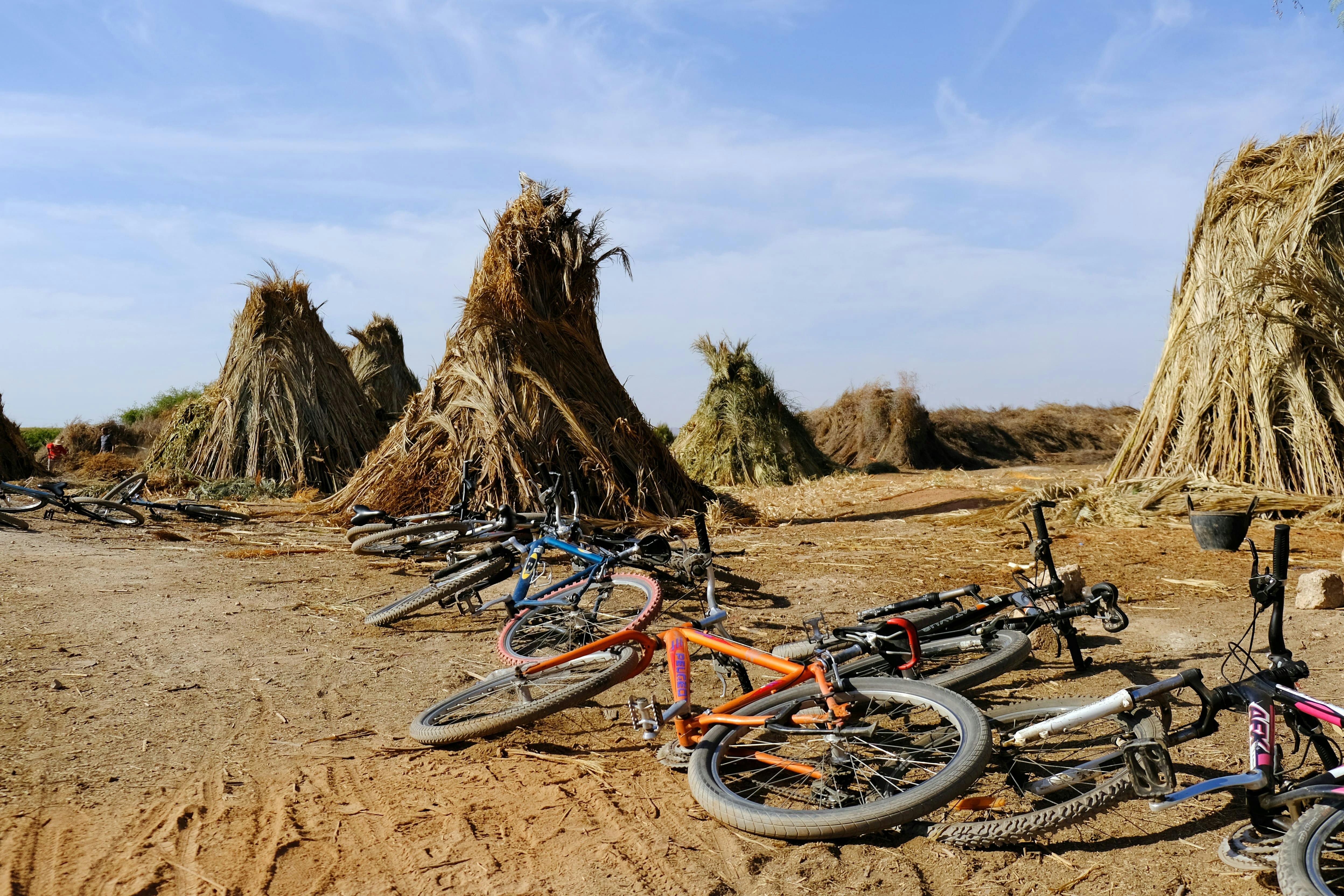 Tour en bicicleta por la Palmeraie de Marrakech