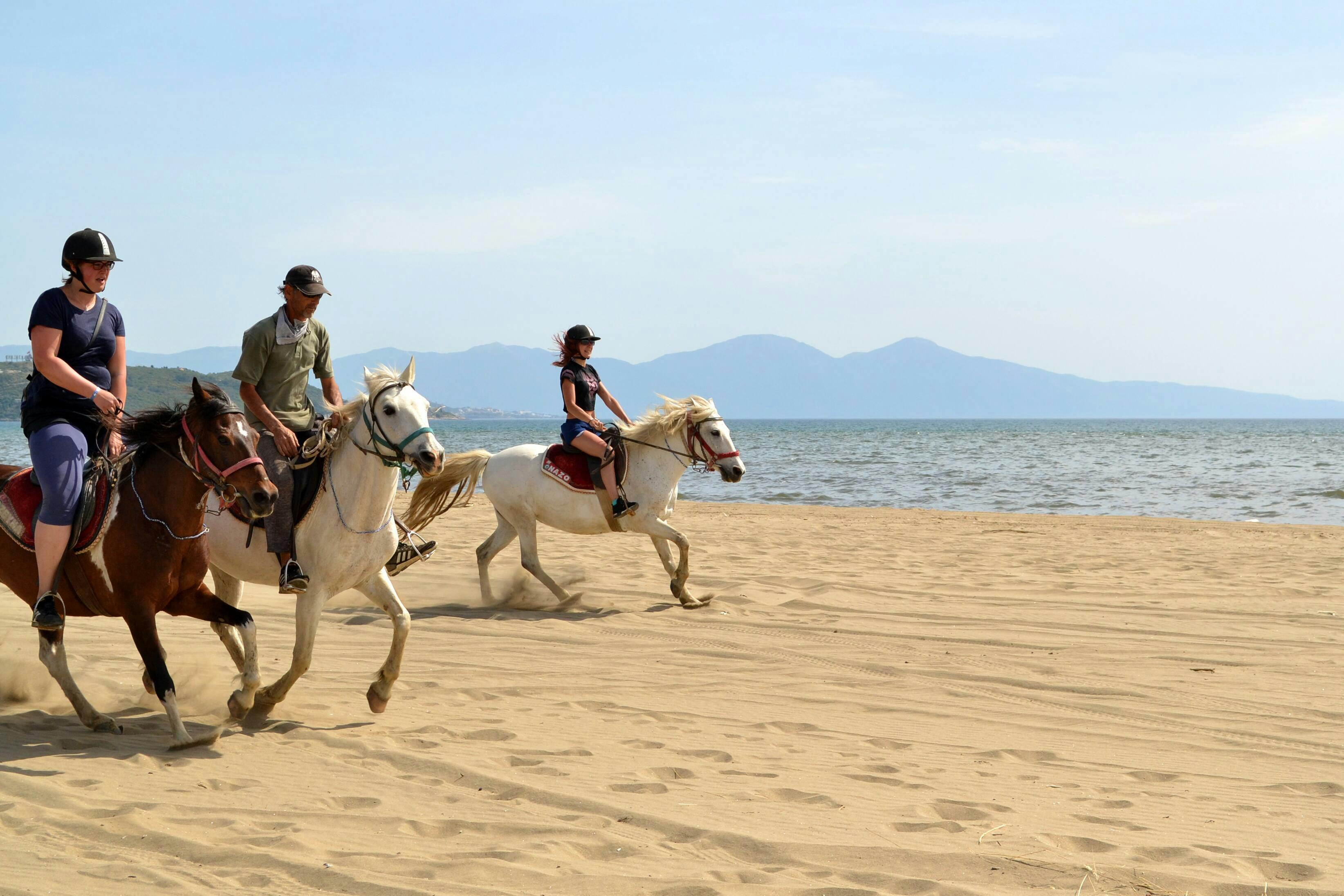 Kusadasi Horse Riding Safari