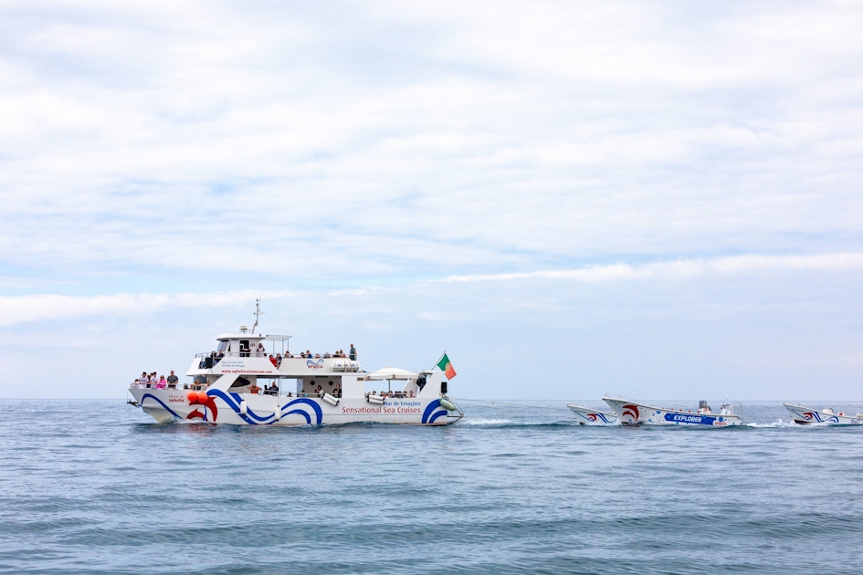 ophelia catamaran cruises