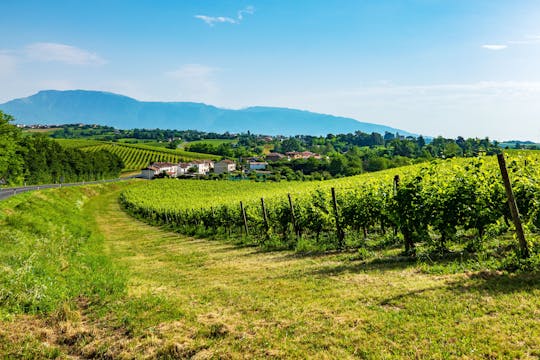 Visite gourmande de la Vénétie