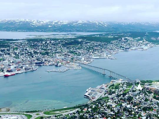 Visite privée de la ville de Tromsø en minibus