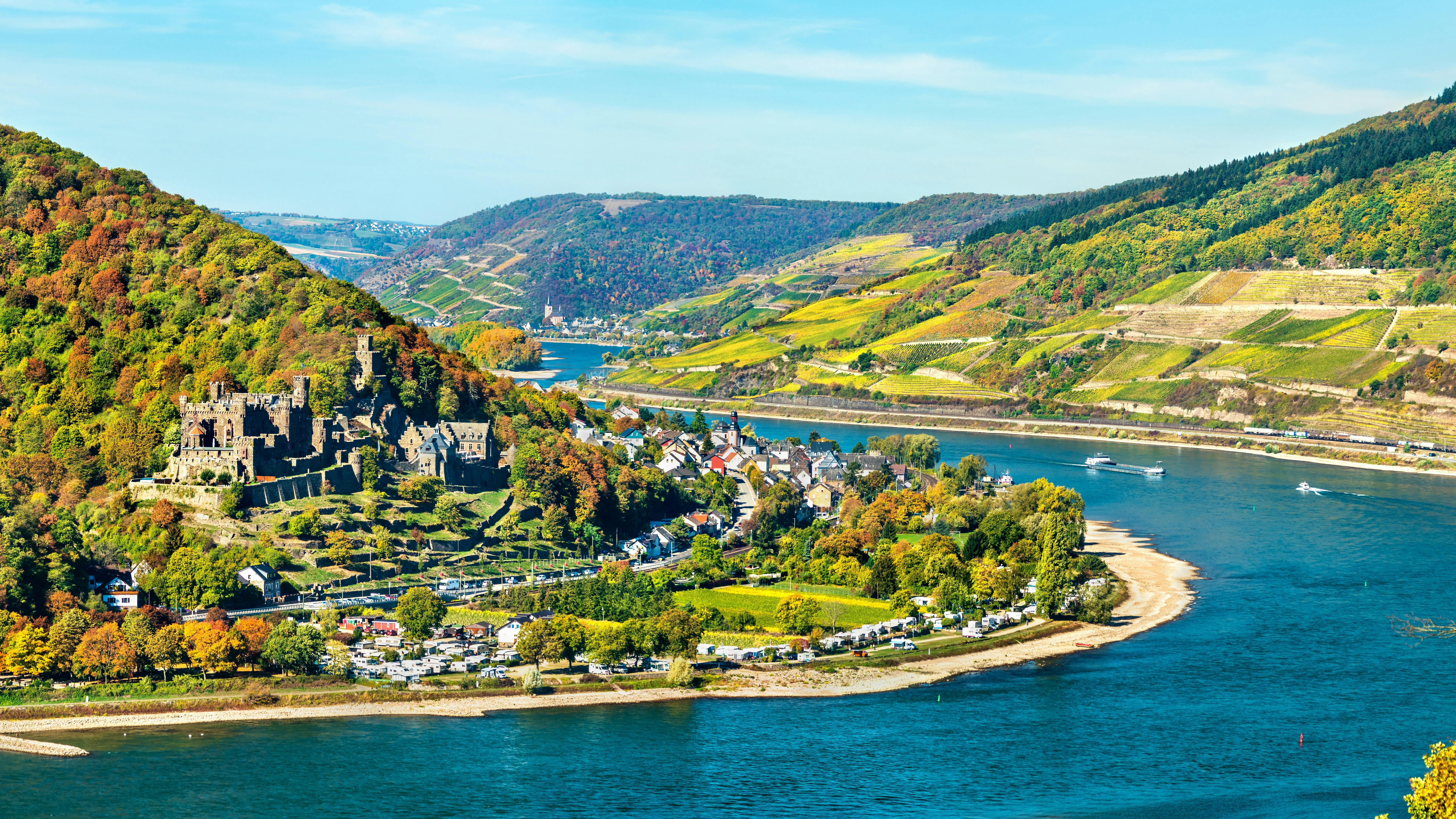 Ticket for Rhine castle cruise from Rüdesheim