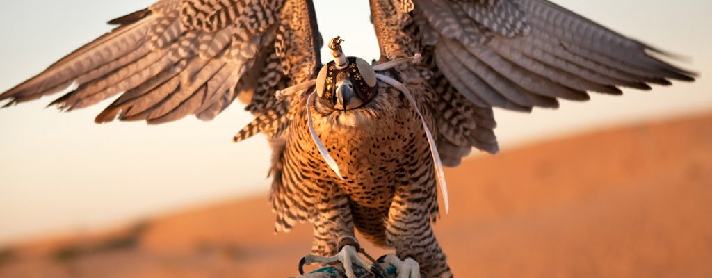 Private falconry excursion