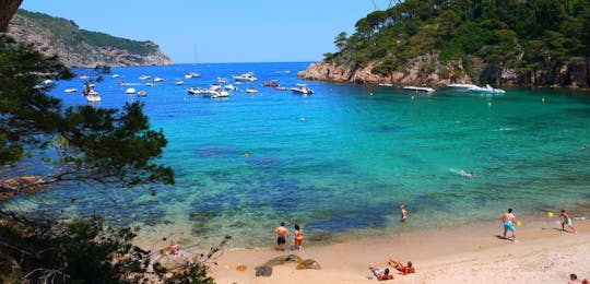 Girona and Costa Brava small-group tour from Barcelona