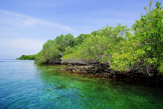 Excursión guiada a Cocotera