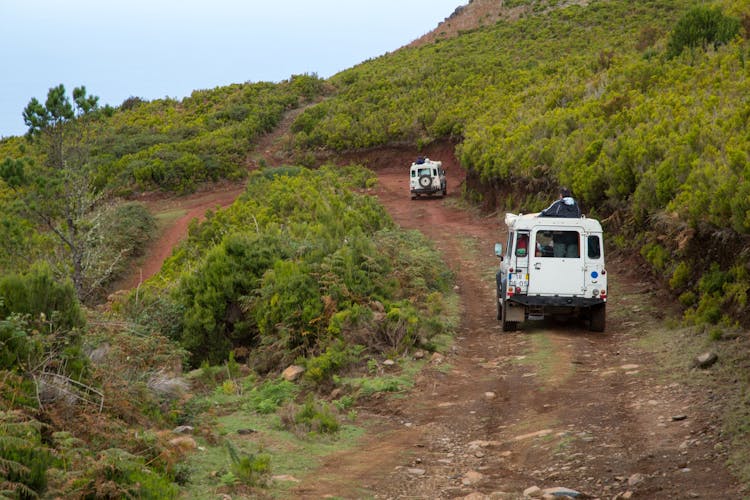 The best of southern Madeira in 4x4
