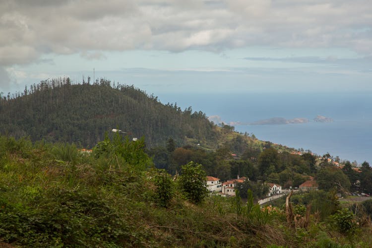 Southeastern Madeira and Levada Walk combo