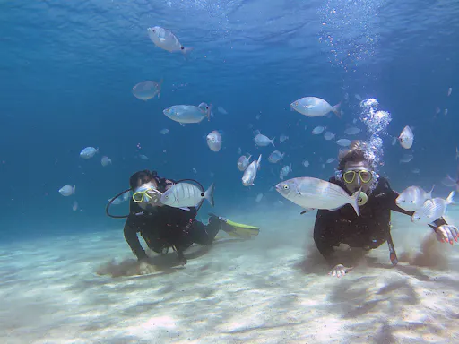 Reduced Mobility Scuba Lesson with Native Diving