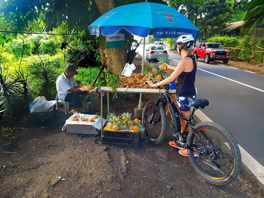 E-biketour op Mauritius in Grand Port