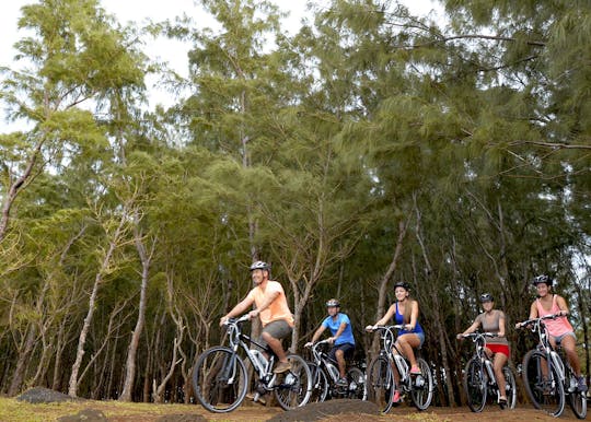 Tour in bici elettrica delle Mauritius a Pamplemousses