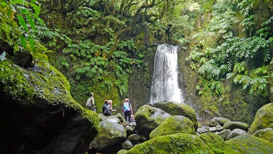 Escursione di un'intera giornata a Faial da Terra e Salto do Prego