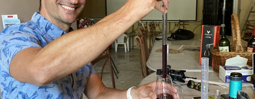 Visite privée et dégustation de vin à Saint-Emilion
