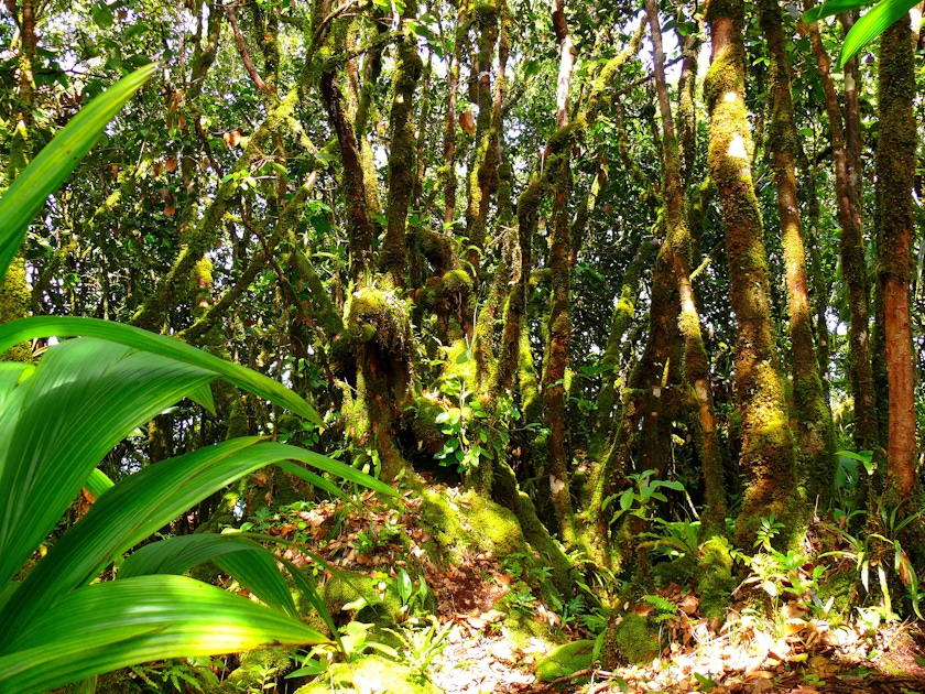Praslin Nature, Landscapes & Wildlife Experiences Guide