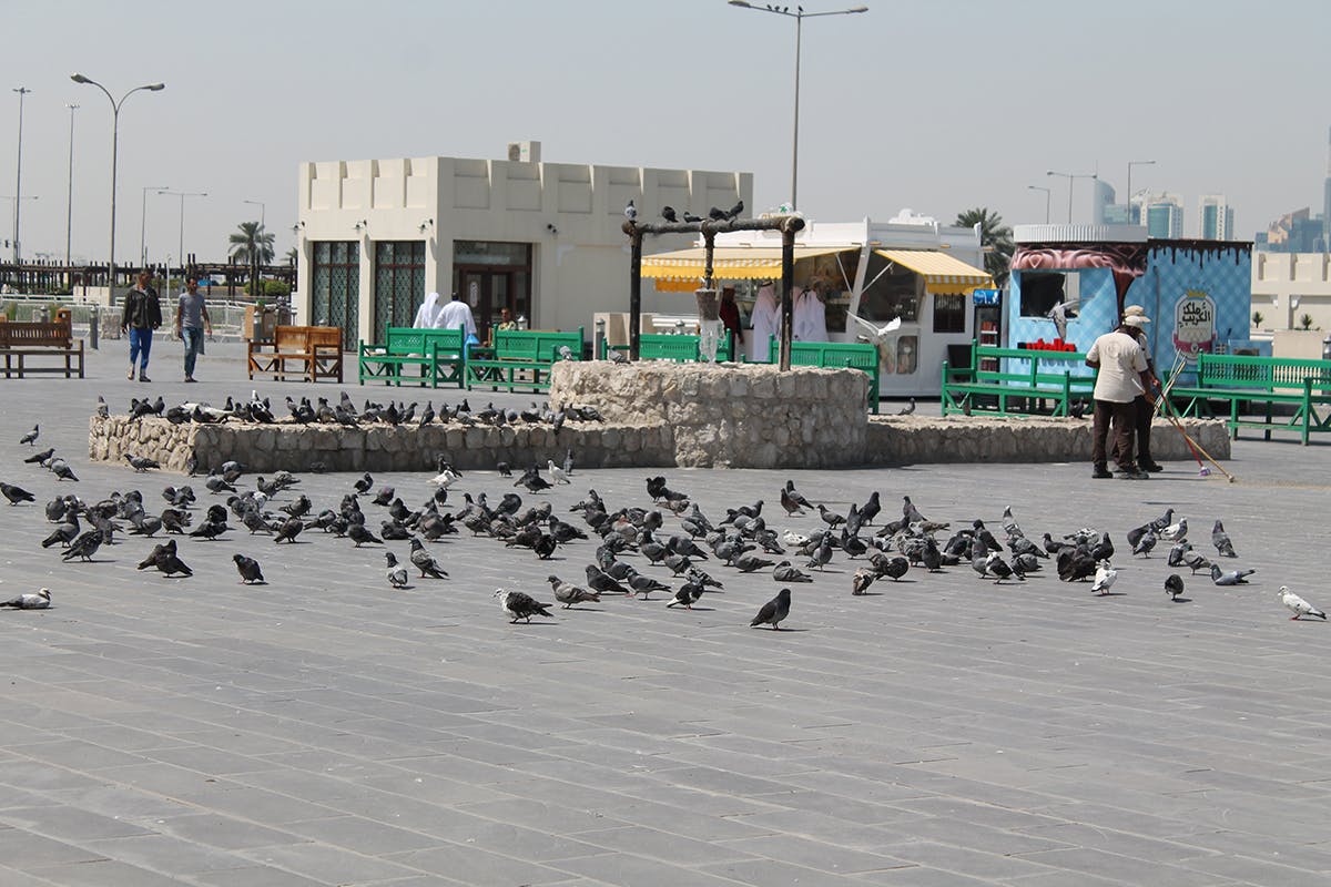 202011065fa53aa44348c.JPG