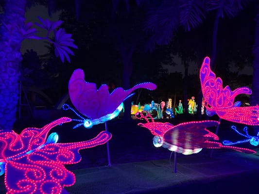 Dubai Glow Garden tickets