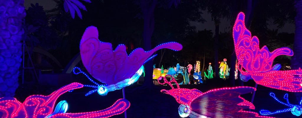 Dubai Glow Garden tickets