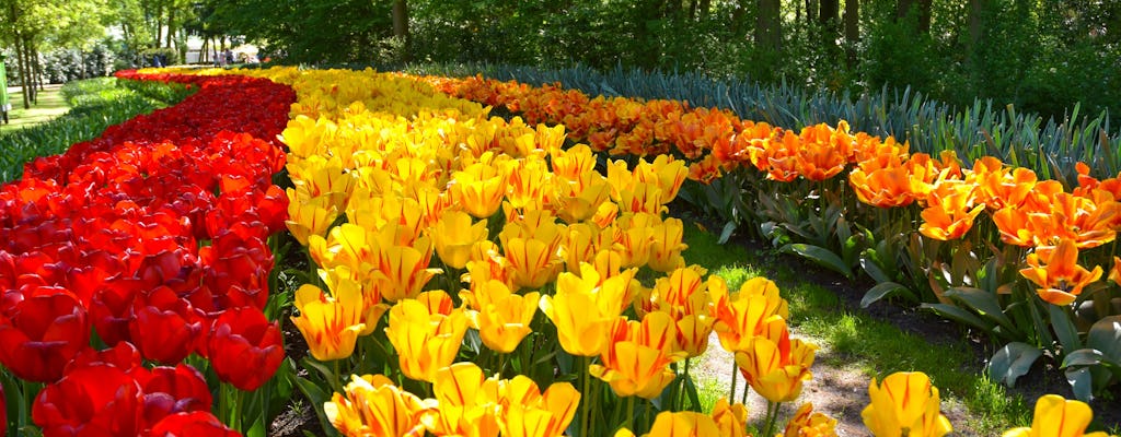 Keukenhof fast-track ticket and transfer with THIS IS HOLLAND