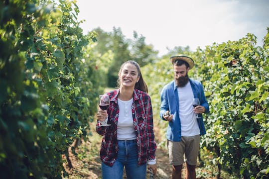 Wine tasting and winery tour in Noto