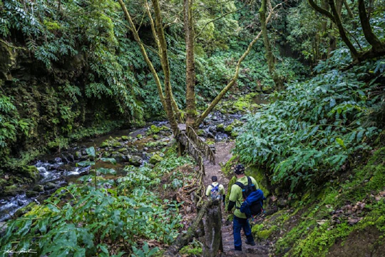Hiking tour to Moinho do Félix from São Miguel
