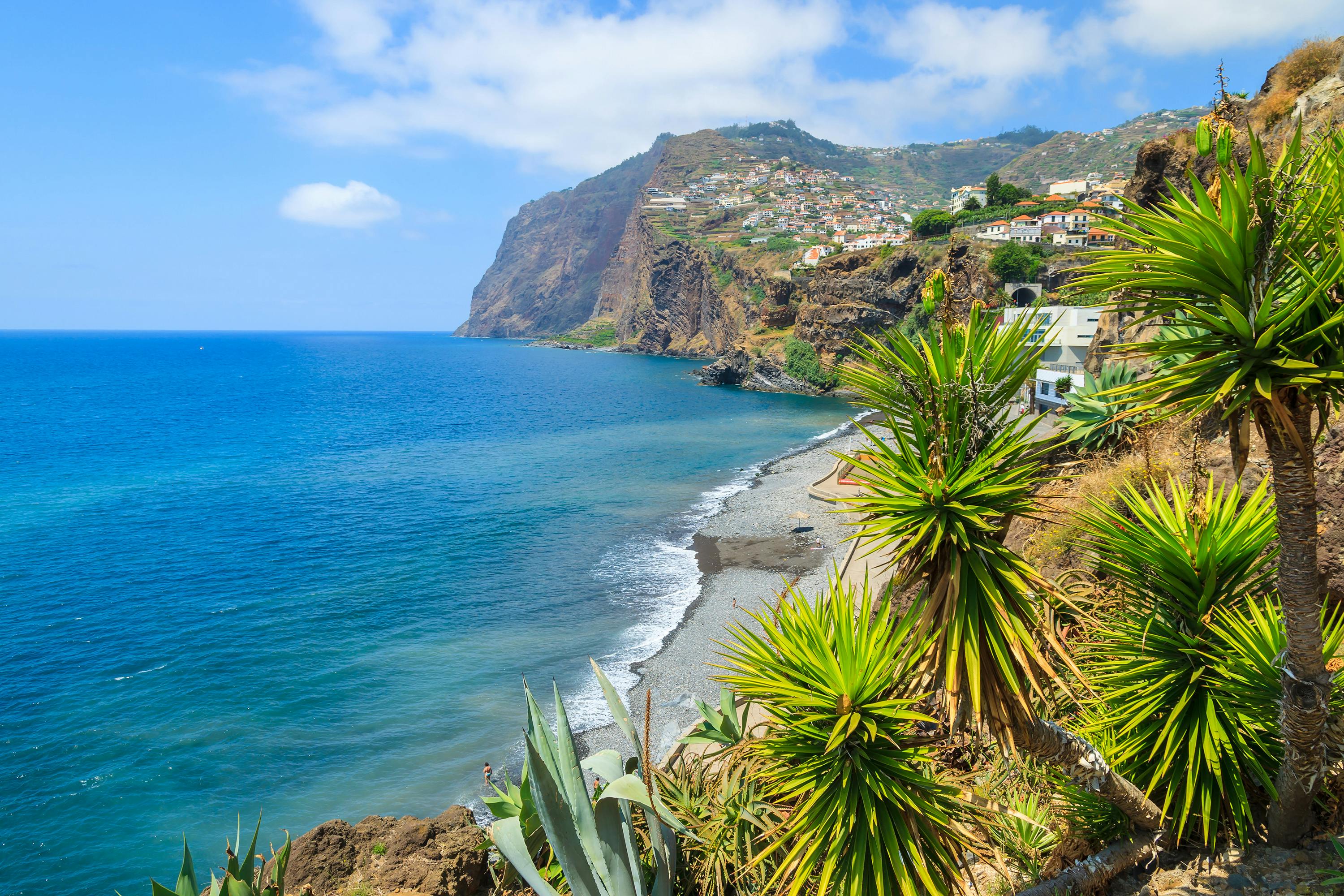 Madeira private full day tour in 4x4 Musement