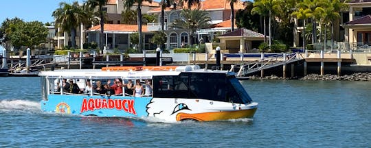 Aquaduck Sunshine Coast : visite de la ville d'une heure et croisière sur la rivière