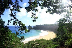 Arquipélago de Fernando de Noronha image