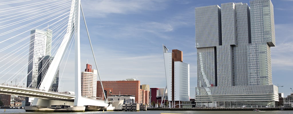 Rotterdam walking tour with Markthal, Cube Houses, water taxi and rooftop views