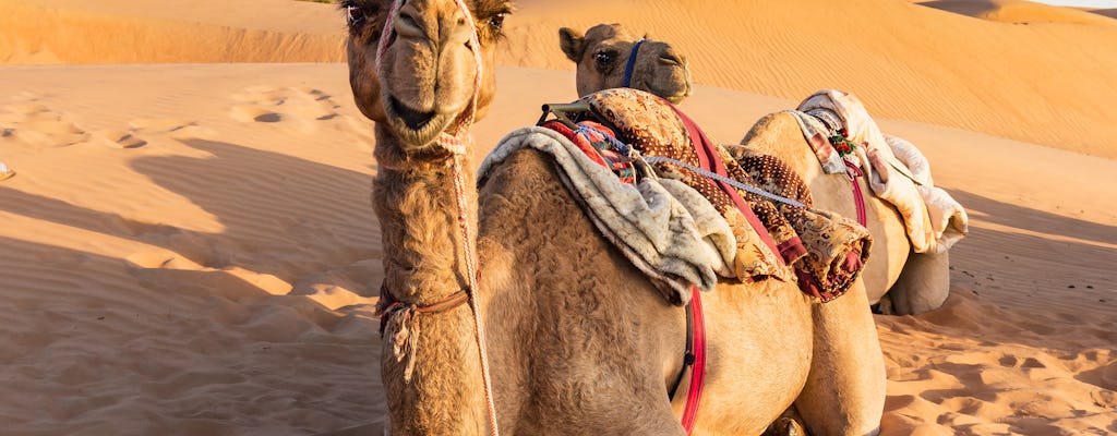 Randonnée privée à dos de chameau