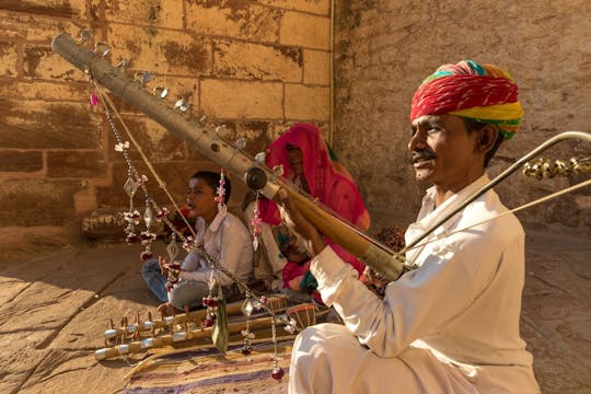 Halve dag de rijkdom aan muziek in Jaipur