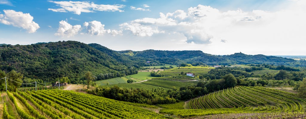 Excursão privada com degustação de vinhos Castelli Romani em carro antigo