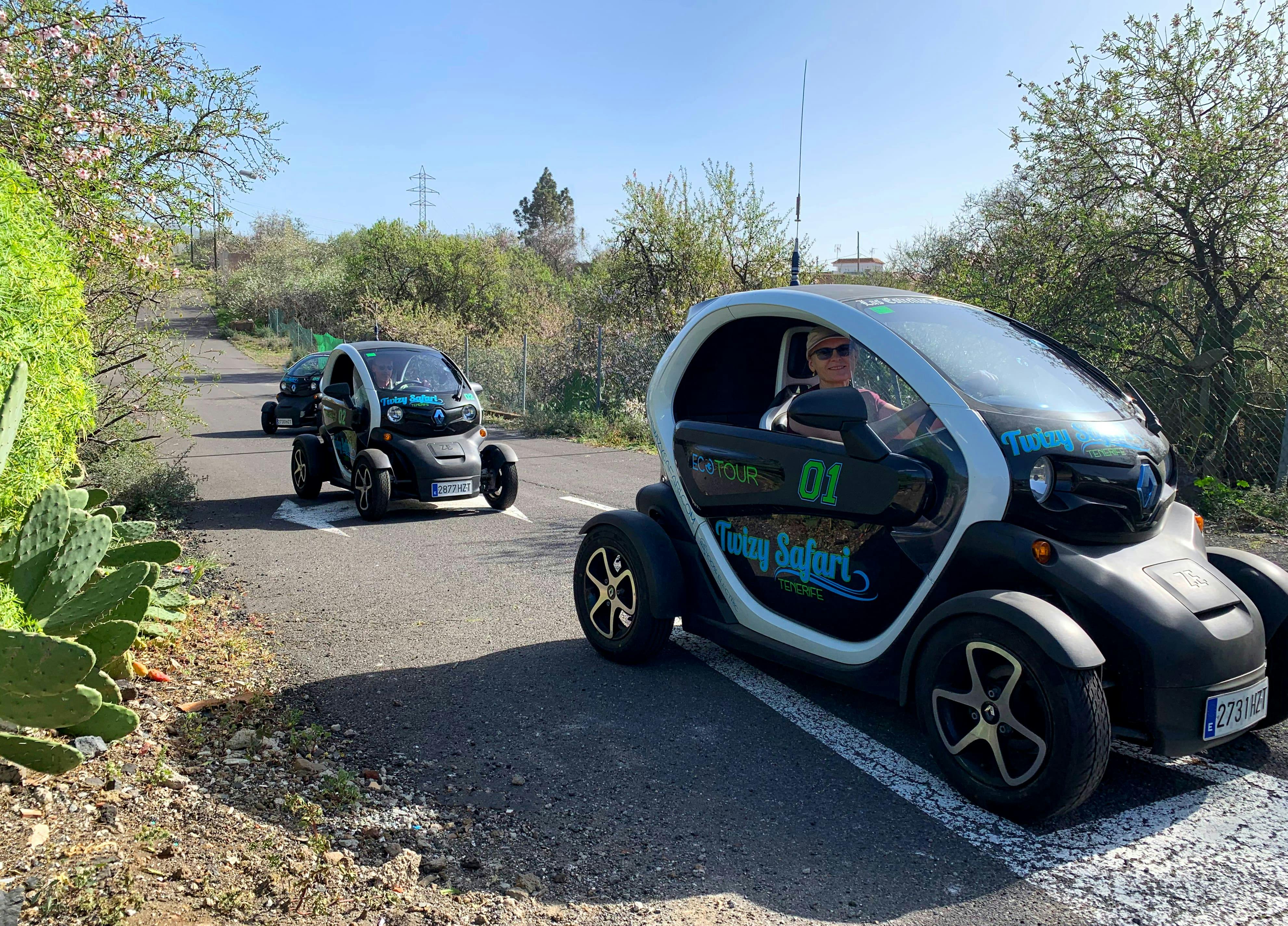 Twizy Safari Tenerife Tour