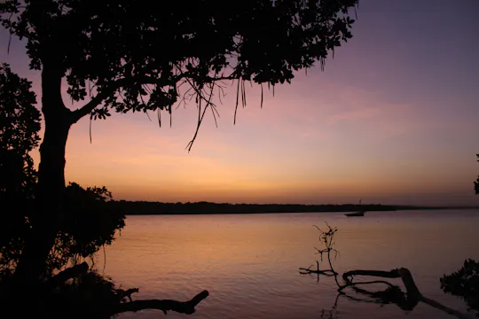 Paseo en barco por Mida Creek y buceo con tubo en el Parque Marino de Watamu