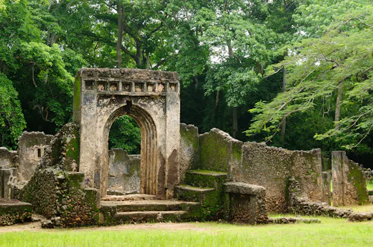 Excursión de un día al bosque de Arabuko Sokoke y las ruinas de Gedi desde la costa norte de Mombasa