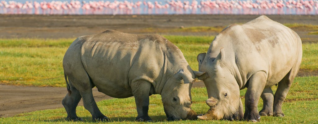 Dwudniowe safari w Parku Narodowym Jeziora Nakuru i Naivasha