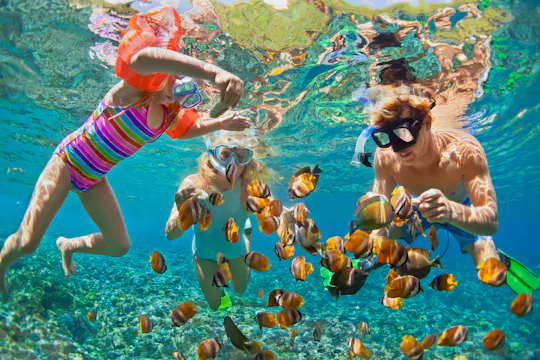 Snorkel- en kajakavontuur in Portobelo