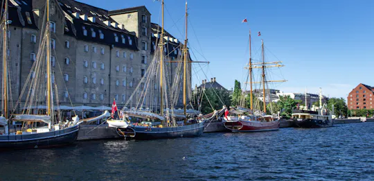Köpenhamn 3-timmars vandringstur i liten grupp