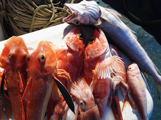 Опыт рыбалки на Капри от Сорренто с обедом