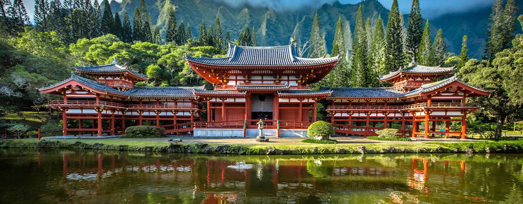 Kyoto Uji Matcha und Byodo-in Tempelwanderung