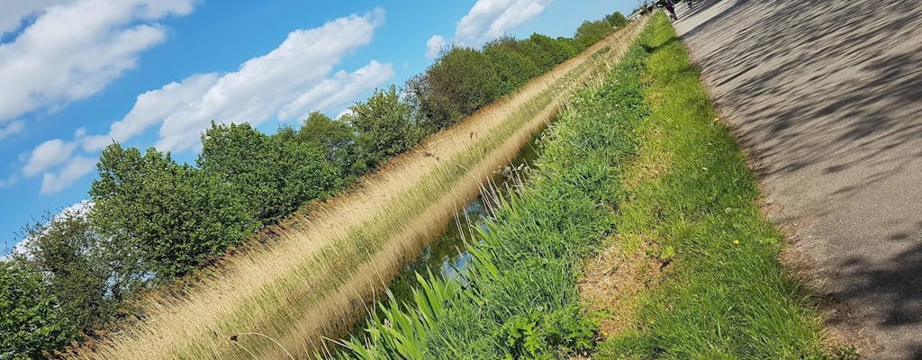 Tour in bicicletta dei corsi d'acqua, dei parchi e delle periferie di Dublino ovest