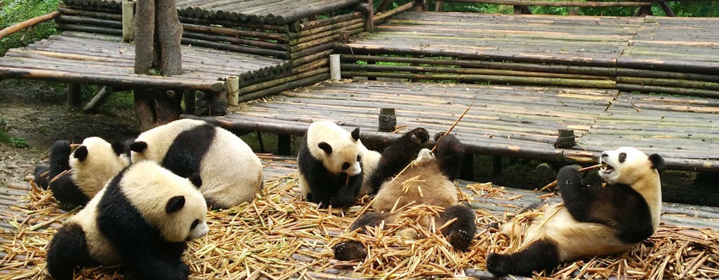 All-inclusive Panda-trip en aanpasbare sites