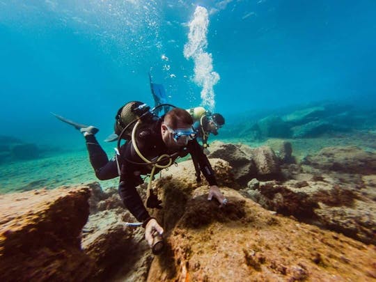 Tenerife Eco Scuba Diving Experience