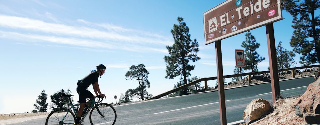 Teide Special Tapas Cycling Tour